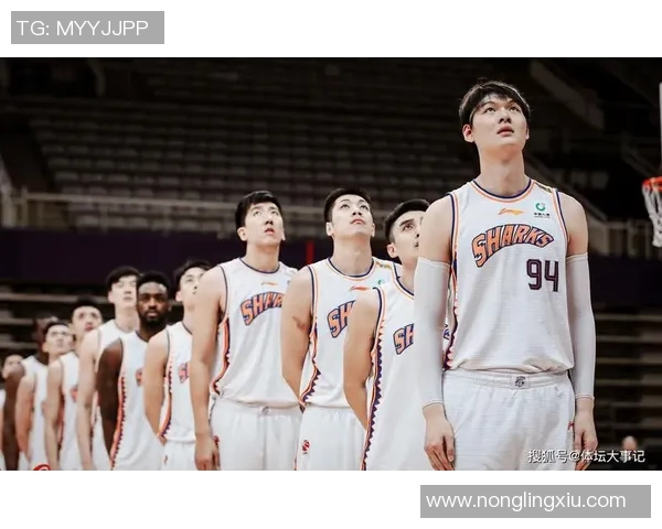 上海排球队阵地战革新探索新战术助力团队夺冠之路