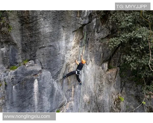 广州攀岩队在马拉松大满贯中的灵活性表现分析与点评